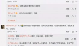 娱乐圈吃瓜论文,揭秘明星背后的真相与八卦