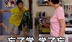 娱乐吃瓜酱不喜欢冬天,娱乐吃瓜酱偏爱暖阳时光