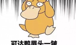 娱乐吃瓜鹅鸭视频下载,鹅鸭视频下载攻略，轻松获取热门娱乐内容