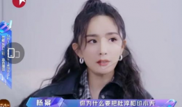 娱乐圈吃瓜无聊的小说