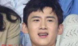 娱乐吃瓜蜀黍白敬亭,娱乐吃瓜蜀黍的甜蜜与苦涩